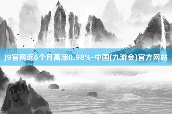 J9官网近6个月高潮0.98%-中国(九游会)官方网站