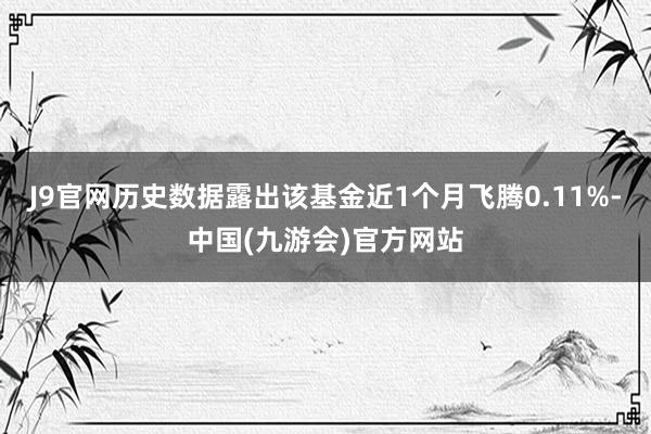 J9官网历史数据露出该基金近1个月飞腾0.11%-中国(九游会)官方网站