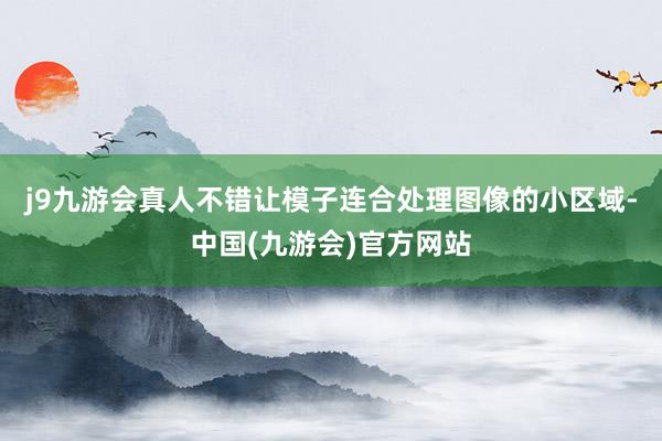 j9九游会真人不错让模子连合处理图像的小区域-中国(九游会)官方网站